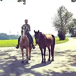 Loewenhof Jurte Campsite Wald (Baden-Wurttemberg)